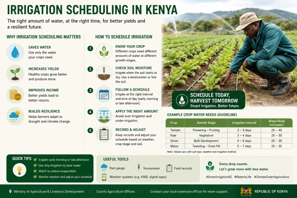 Irrigation Scheduling in Kenya