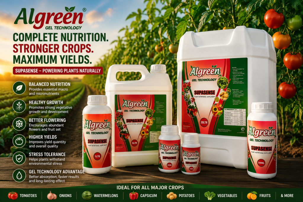 Learn how to use Algreen Supasense NPK 24:24:18 fertilizer in Kenya. Discover application rates, crop timing, benefits, and how to combine it with Cytomone for better yields.