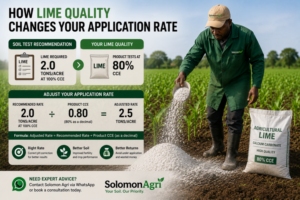 Soil Testing for Farmers