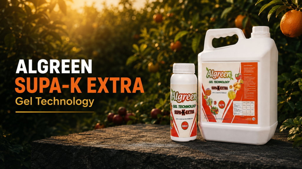 Algreen Supa-K (NPK 6:0:42): The Complete Guide to Potassium Feeding for Bigger, Sweeter Fruit 1 algreen supa k