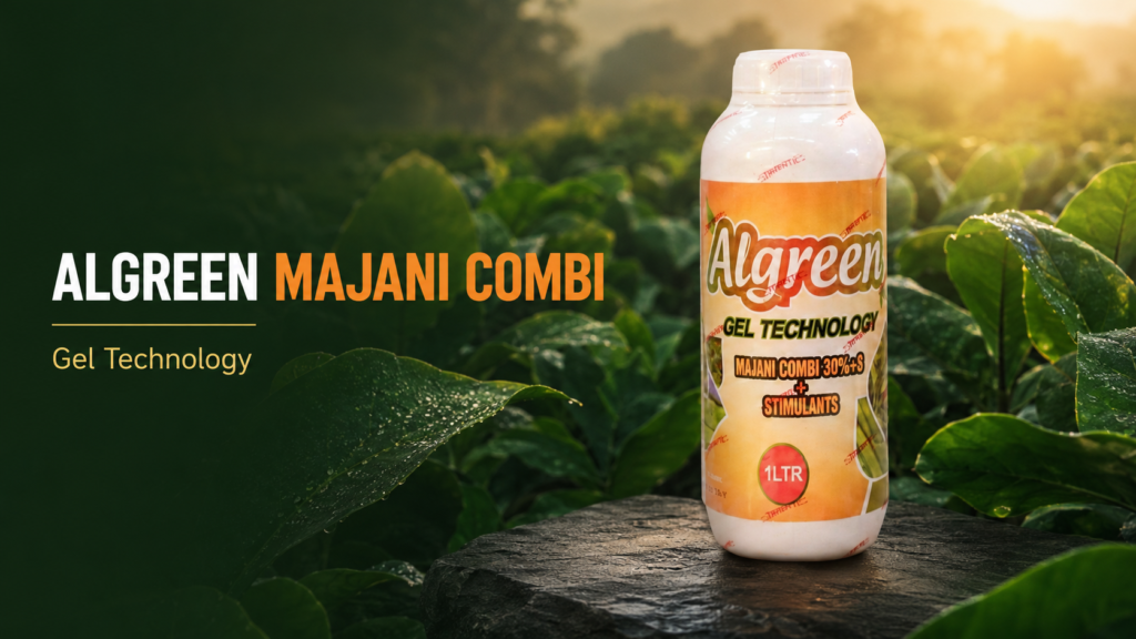 Algreen Majani Combi 2 Foliar Feed for Tea Growth & Taste 1 Algreen Majani Combi
