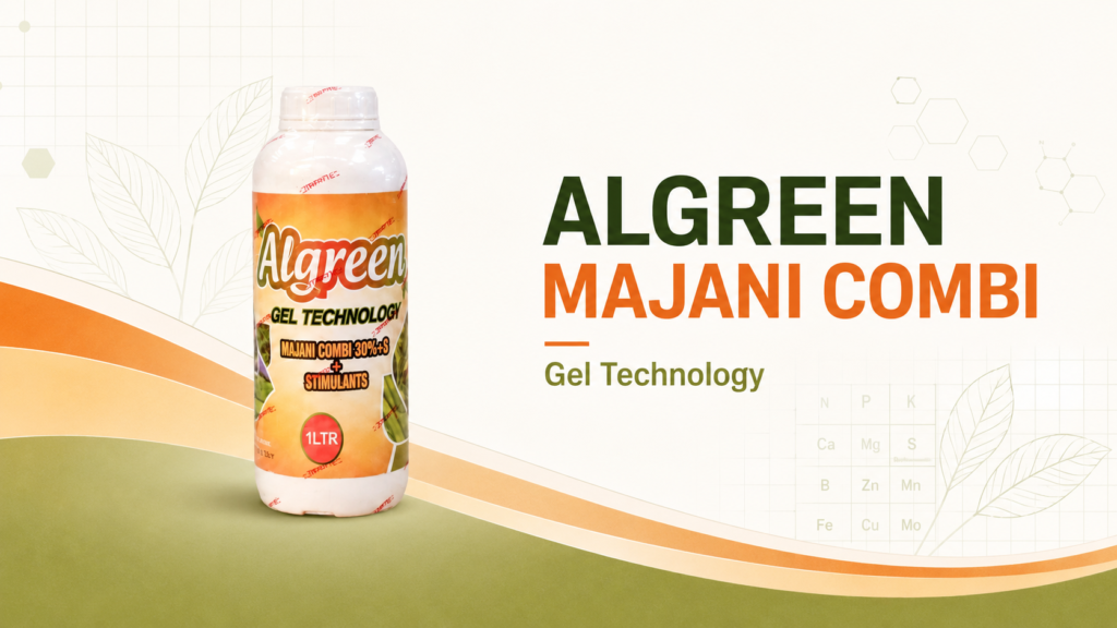 Algreen Majani Combi