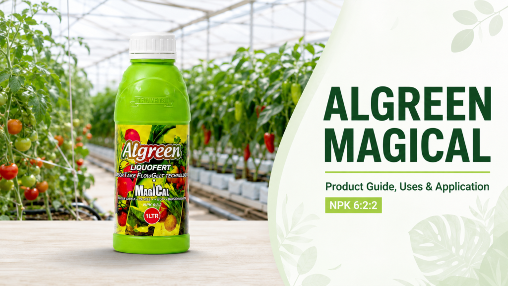 algreen magical 